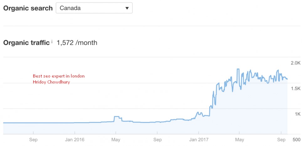 In this insightful case study, we explore the significant return on investment (ROI) achieved through a dedicated local SEO campaign in a foreign language market—specifically for a French Canadian website specializing in home appliances.